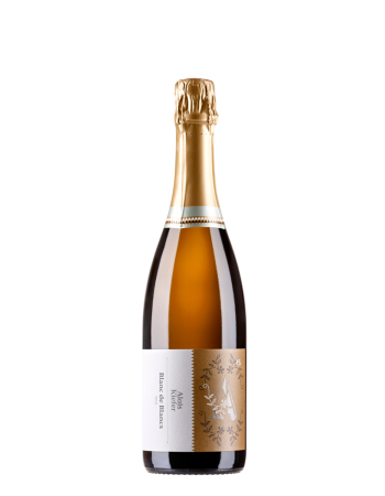 Blanc de Blancs Sekt